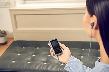 Amazon.com: Sony NW-A45/L Walkman with Hi-Res Audio, Moonlit Blue